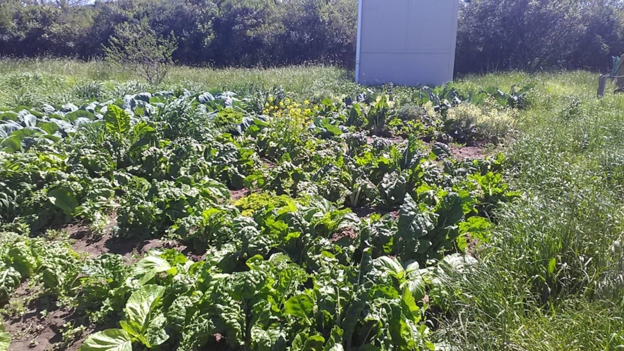 Commercial Property for Sale in Mossel Bay Rural Western Cape